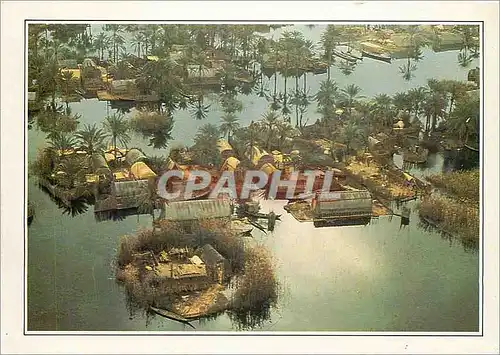 Cartes postales moderne Irak Les Maadans habitants des Marais