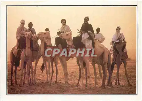 Cartes postales moderne Niger Teguidda N Tessoumt La Salee