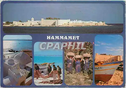 Cartes postales moderne Tunisie Hammamet