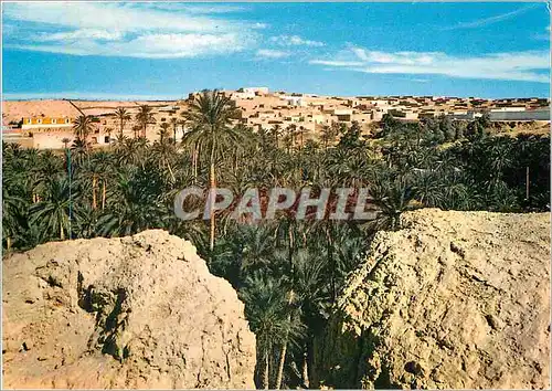 Cartes postales moderne Sud Tunisien Nefta au bout du desert