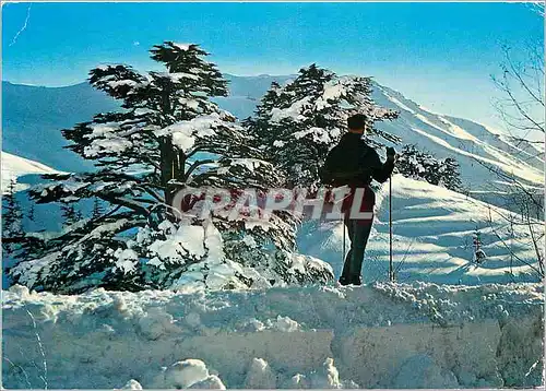 Moderne Karte Lebanon Cedres Silhouette d'un Moniteur de Ski