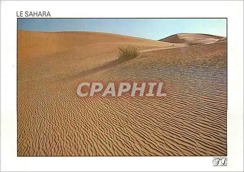 Moderne Karte Le Sahara