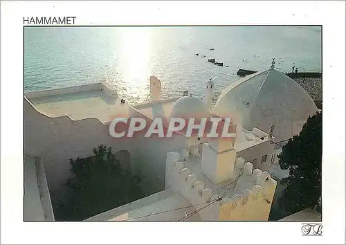 Cartes postales moderne Hammamet