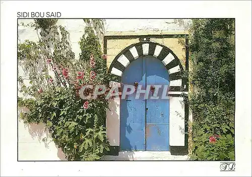 Cartes postales moderne Sidi Bou Said