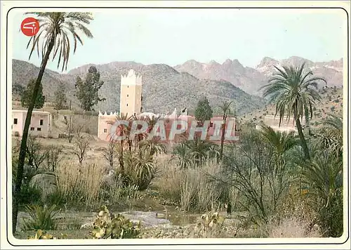 Cartes postales moderne Maroc Typique