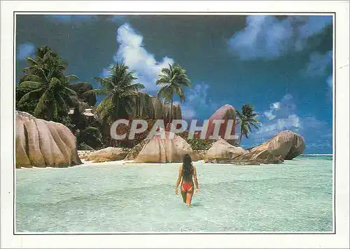 Cartes postales moderne Seychelles L'Anse Royale