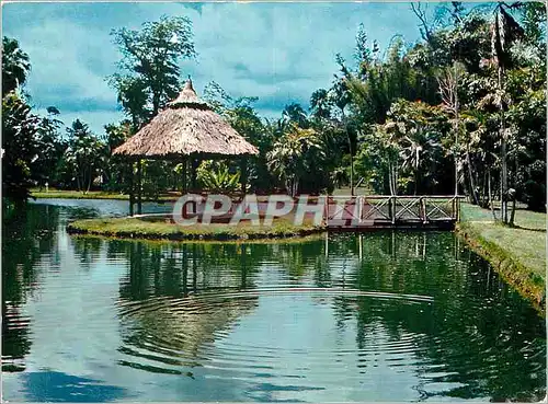 Cartes postales moderne L'Ile Maurice Mauritius Jardin de Pamplemousses