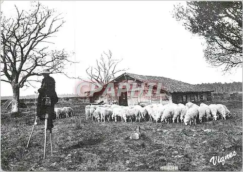 Cartes postales moderne Les Landes d'Autrefois Berger sur echasses devant une vieille bergerie