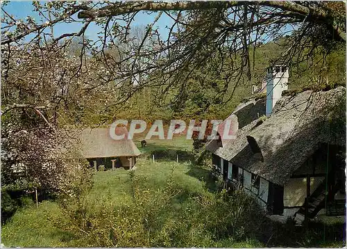 Cartes postales moderne Paysage Normand