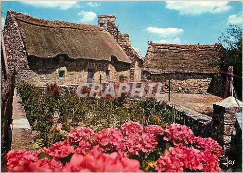 Cartes postales moderne Pleine de joie et de lumiere Ma vieille maison tu es comme un paradis