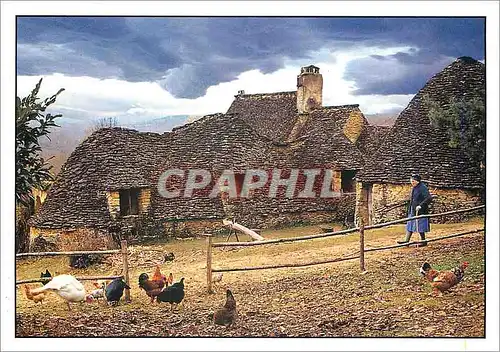 Cartes postales moderne Vivre au Pays Le Ramassage des fagots de bois pour l'hiver aux cabanes du Breuil