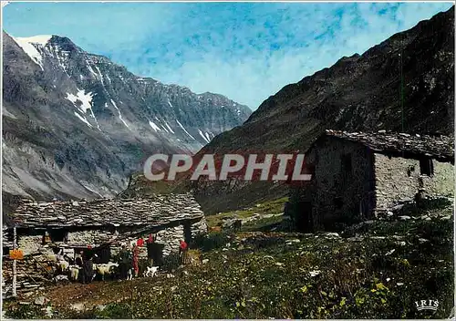 Cartes postales moderne Dans la Vanoise Alpage en haute montagne avec la Grande Casse comme toile de fond