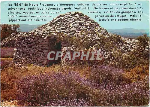 Cartes postales moderne Lavande et Cabanon pointu