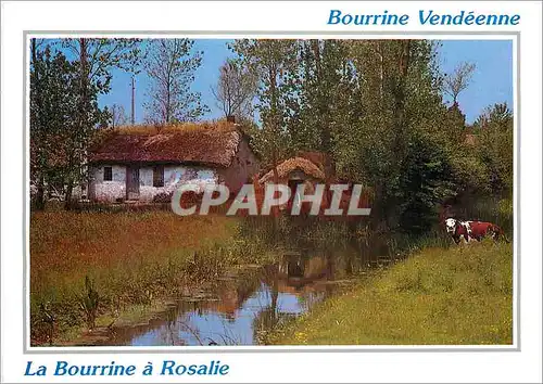 Moderne Karte Bourrine Vendeenne La Bourrine a Rosalie