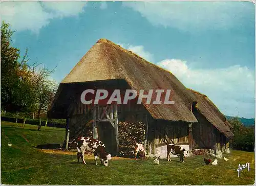 Cartes postales moderne La Luxuriante Normandie Chaumiers Normandes