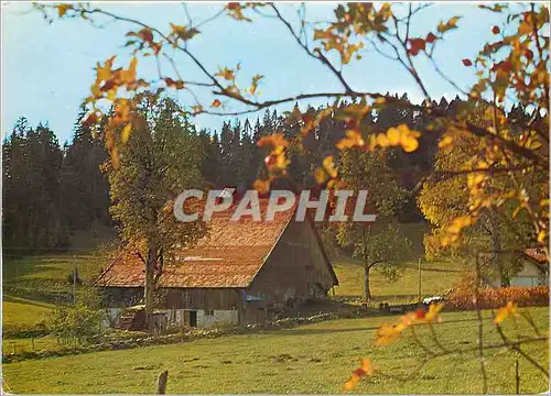 Moderne Karte A la decouverte du Haut Doubs La vieille femme du Chauffaud