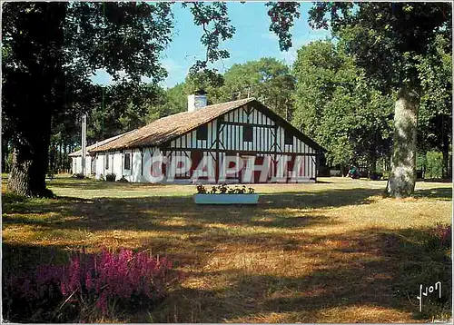 Cartes postales moderne Les Landes Maison landaise aux environs de Leon