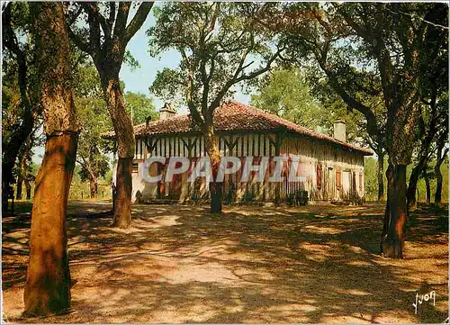 Moderne Karte Ferme Landaise