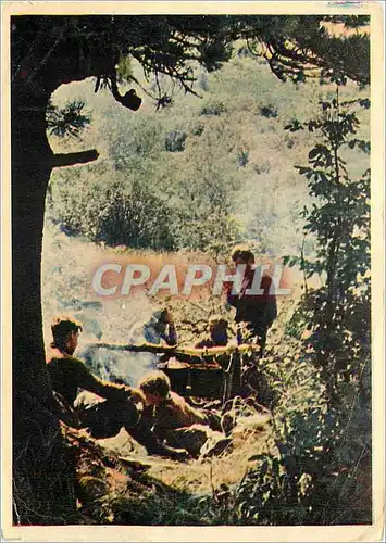 Cartes postales moderne Ballade en foret