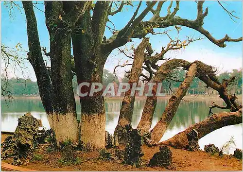 Cartes postales moderne Ha Noi Phong canh dep