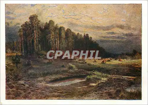 Cartes postales moderne Savrassov L'Ile des Elans a Sokolniki Galerie Nationale Tretyakou