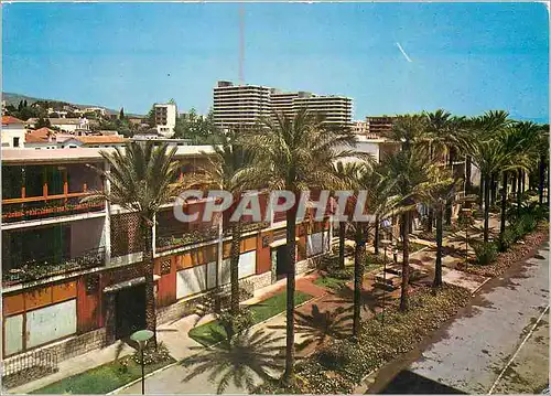 Cartes postales moderne Torremolinos Le Roca Promenade de Las Palmeras