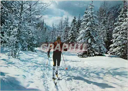 Cartes postales moderne Ski de fond dans le Vercors