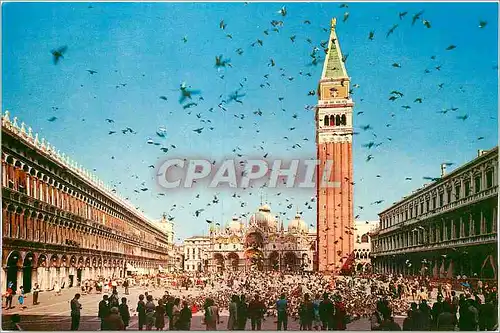 Cartes postales moderne Venice Place St Marc Vol de Pigeons