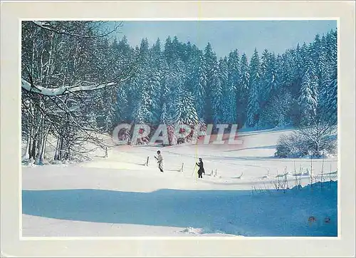 Cartes postales moderne L'Hiver en Franche Comte Au paradis de l'Immensite Blanche