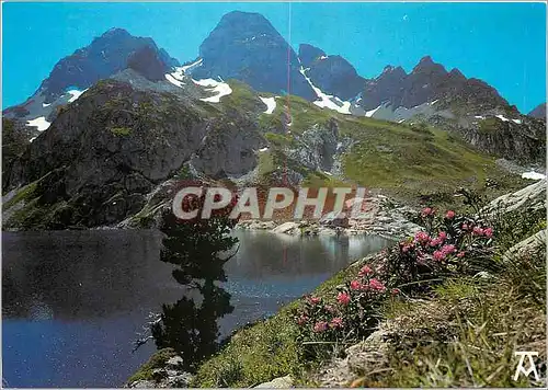 Cartes postales moderne Les Pyrenees Lac Haute Montagne