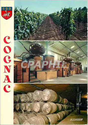 Moderne Karte Cognac Charente Vignobles Charentais