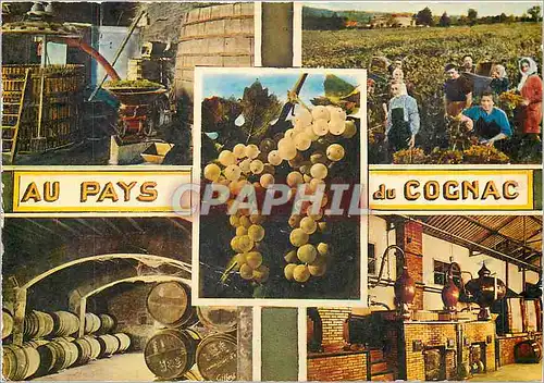 Cartes postales moderne Au Pays du Cognac Le Pressoir