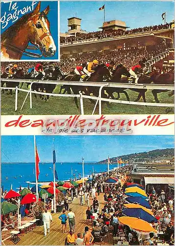 Cartes postales moderne Deauville Trouville la joie des vacances Hippisme