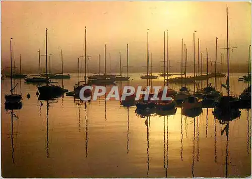Cartes postales moderne Brume Matinale