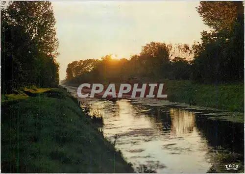 Moderne Karte Coucher de Soleil sur Le Marais Poitevin