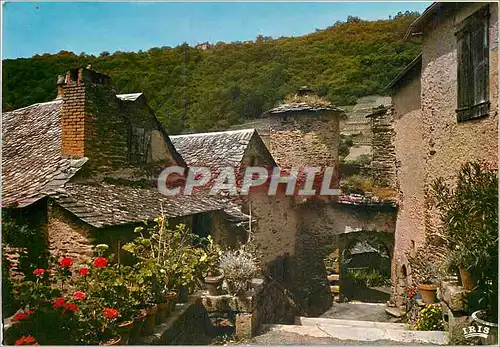 Cartes postales moderne Le Monastere Cabrespines Vieille rue typique