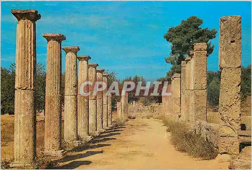 Cartes postales moderne Olympie La Palastre