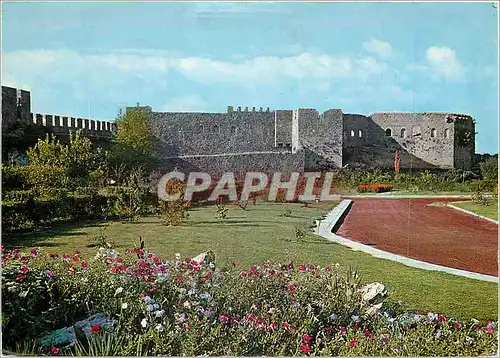 Cartes postales moderne Arta Le Chateau