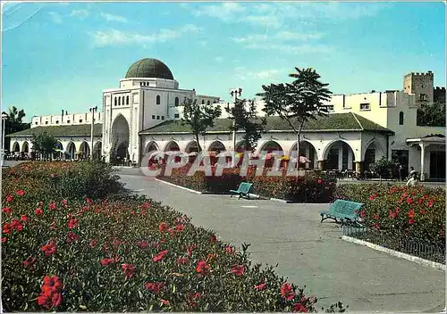 Cartes postales moderne Rhodes Vue du Nouveau Marche