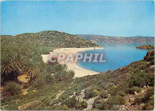 Moderne Karte Sitia Vai Palmenwald