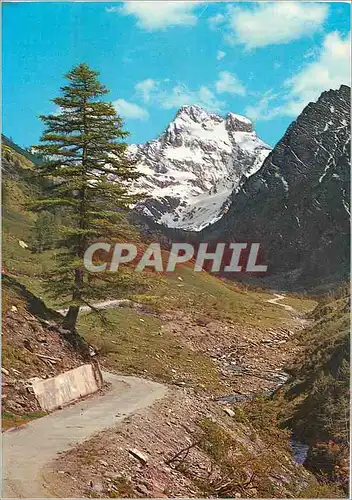Cartes postales moderne Promenade au Mont Viso