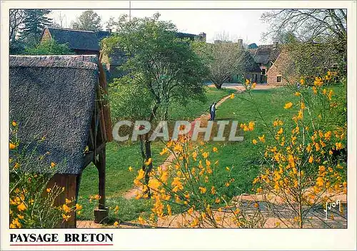 Cartes postales moderne Paysage Breton