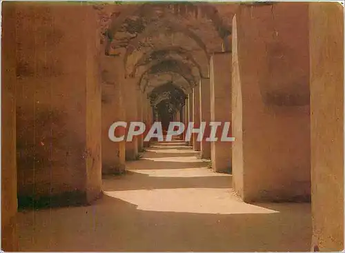 Cartes postales moderne Meknes Les ecuries de Moulay Ismail