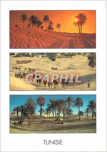 Cartes postales moderne Tunisie Le Grand Sud