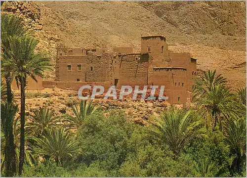 Cartes postales moderne Tenerhir Kasbah Les Gorges du Toundra