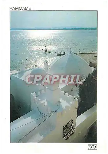 Cartes postales moderne Hammamet Harmonie en blanc et bleu