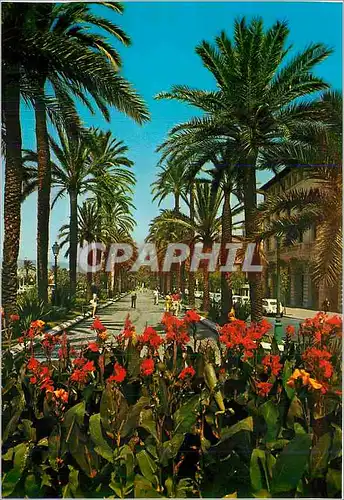 Cartes postales moderne Mallorca Baleares Espana Palma Paseo Sagrera