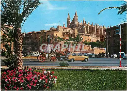 Moderne Karte Palma de Mallorca Catedral y Palacio de la Almudaina