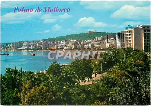 Cartes postales moderne Palma de Mallorca