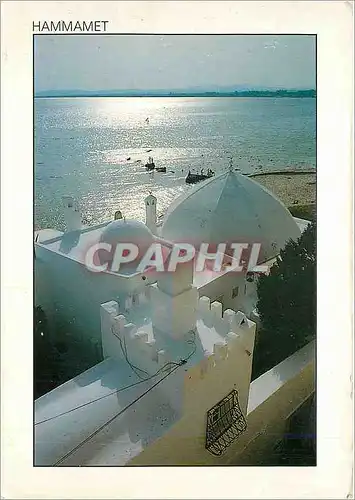 Cartes postales moderne Hammamet